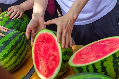 吃瓜最新免费,最新免费生成攻略大公开 第1张 吃瓜最新免费,最新免费生成攻略大公开 第1张